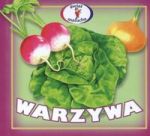 Warzywa