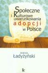 Społeczne i kulturowe uwarunkowania adopcji w Polsce