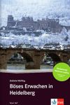 Böses Erwachen in Heidelberg, Buch+Online