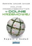 Polskie przedsiębiorstwa w Dolinie Krzemowej