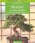 Bonsai w mieszkaniu