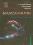 Neuroanatomia