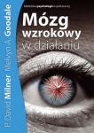 Mózg wzrokowy w działaniu