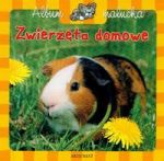 Zwierzęta domowe