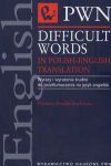 Difficult Words in Polish-English Translation