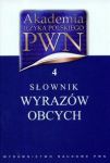 Akademia Języka Polskiego PWN t.4