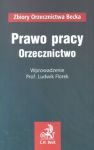 Prawo pracy Orzecznictwo