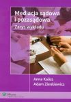 Mediacja sądowa i pozasądowa. Zarys wykładu