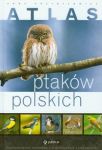 Atlas ptaków polskich