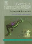 Anatomia narządów wewnętrznych i układu nerwowego człowieka