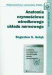 Anatomia czynnościowa ośrodkowego układu nerwowego