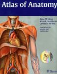 Atlas of Anatomy