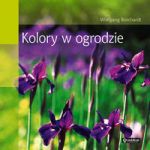 Kolory w ogrodzie