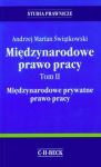 Międzynarodowe prawo pracy Tom 2