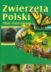 Zwierzęta Polski Atlas ilustrowany