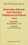 Konwencja o ochronie praw człowieka i Podstawowych Wolności t.1