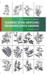 Tajemnice sztuki medycznej średniowiecznych zakonnic