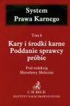 Kary i środki karne Poddanie sprawcy próbie tom 6