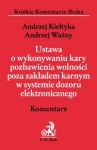 Ustawa o wykonywaniu kary pozbawienia wolności poza zakładem karnym w systemie dozoru elektroniczneg