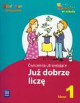 Już dobrze liczę 1 Ćwiczenia utrwalające