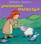 Dotknij i poczuj Zaginiona owieczka